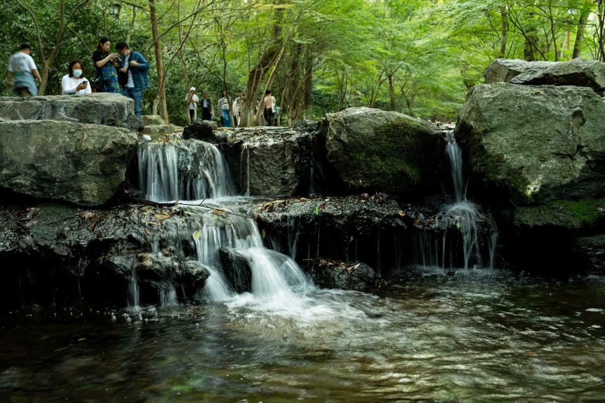 Nine-Greeks-Meandering-Through-a-Misty-Forest-Hangzhou Nine-Greeks-Meandering-Through-a-Misty-Forest-Hangzhou